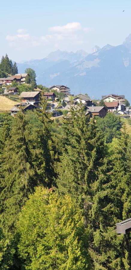Residence « Les Cretes » Torgon Exteriér fotografie